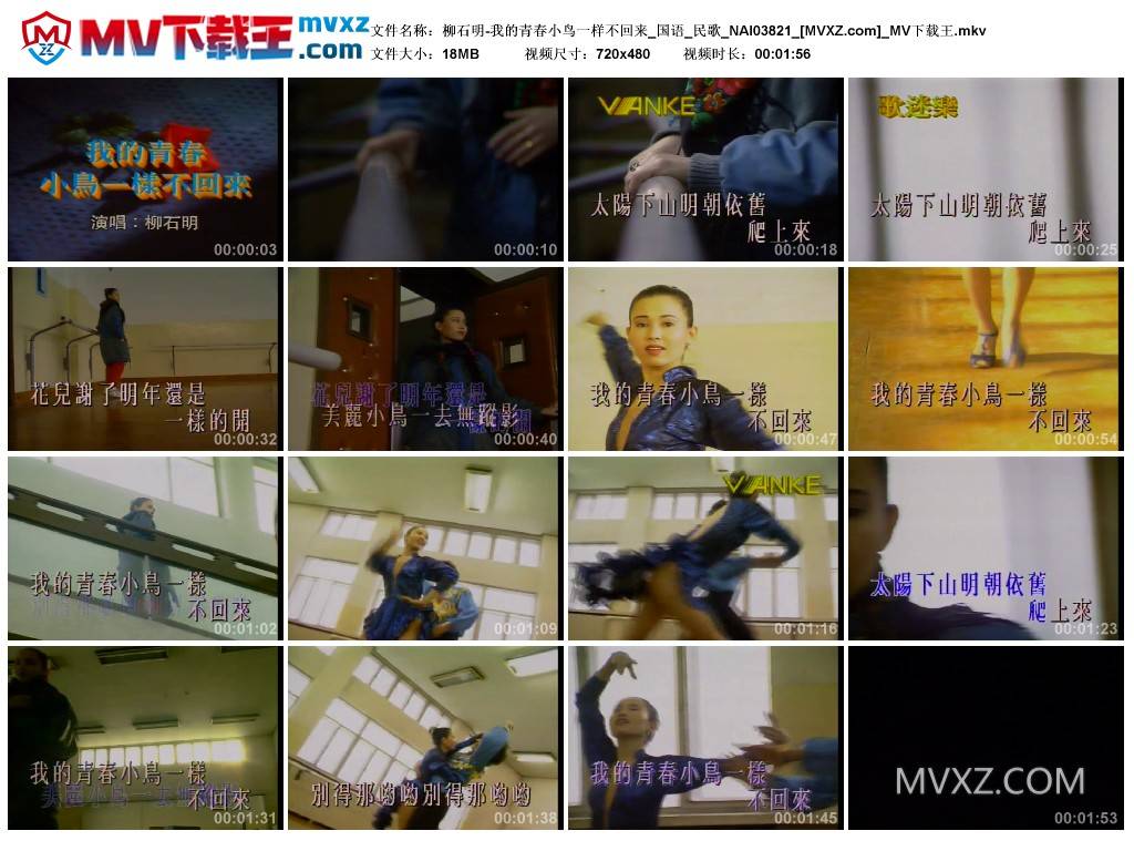 柳石明-我的青春小鸟一样不回来_国语_民歌_NAI03821
